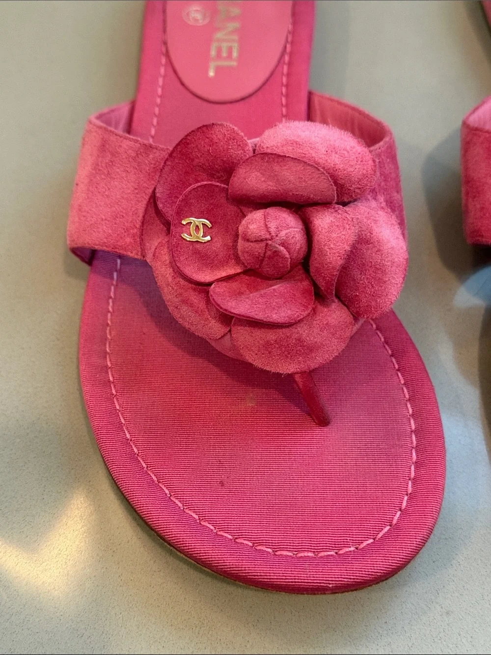 CHANEL Pink Fuchsia Suede Camellia Coco Mark Thong Sandals Size 41c